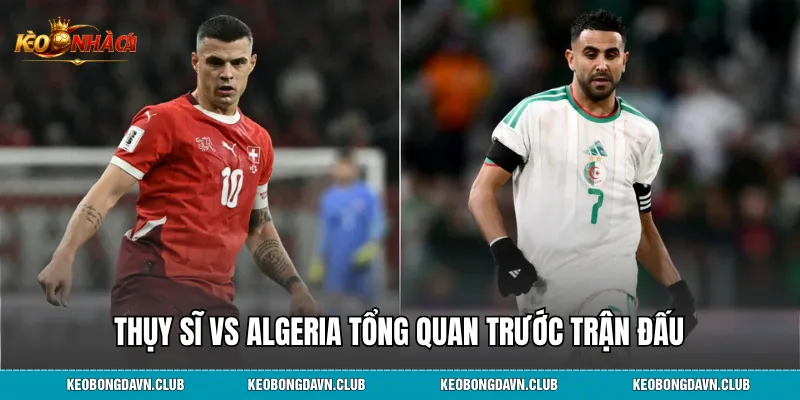Thụy Sĩ vs Algeria tổng quan trước trận đấu