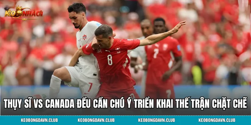Thụy Sĩ vs Canada đều cần chú ý triển khai thế trận chặt chẽ