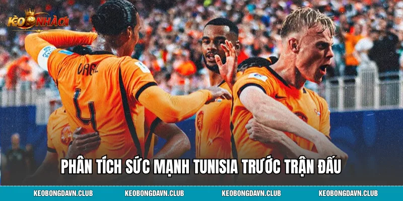 Phân tích sức mạnh Tunisia trước trận đấu