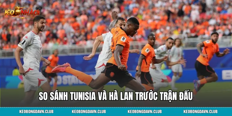 So sánh Tunisia và Hà Lan trước trận đấu