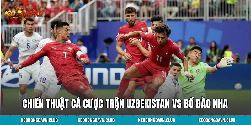 Chiến thuật cá cược hiệu quả cho trận đấu Uzbekistan vs Bồ Đào Nha