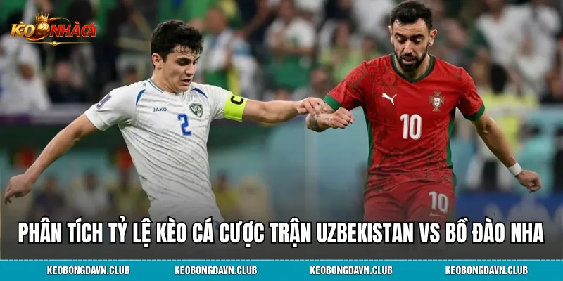 Phân tích tỷ lệ kèo cá cược trận Uzbekistan vs Bồ Đào Nha